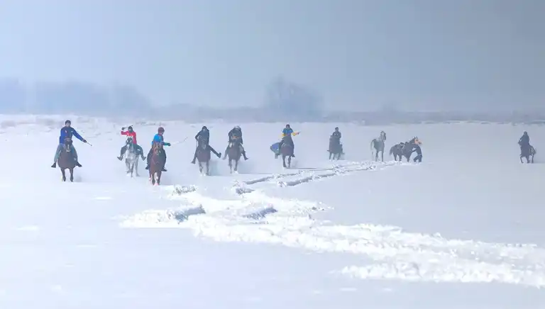 Erzurum'da Kar Üstünde At Yarışı Heyecanı!